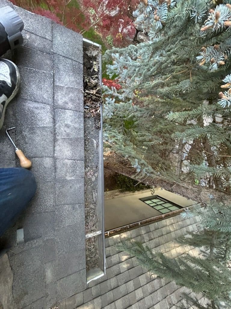 Efficient Gutter Cleanup and Maintenance in Alpine image